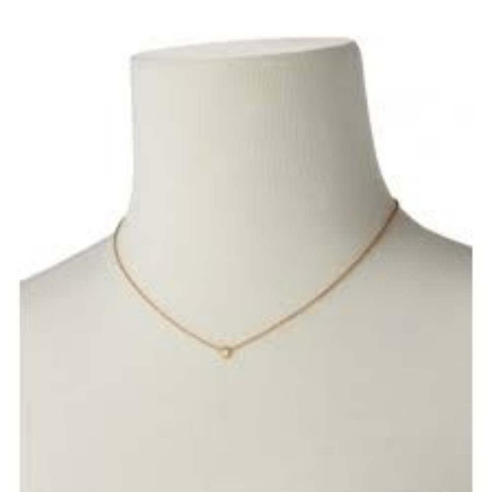 Stella & Dot Wishing necklace
